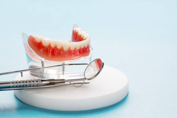 Best Preventive Dentistry  in Marlboro Village, MD